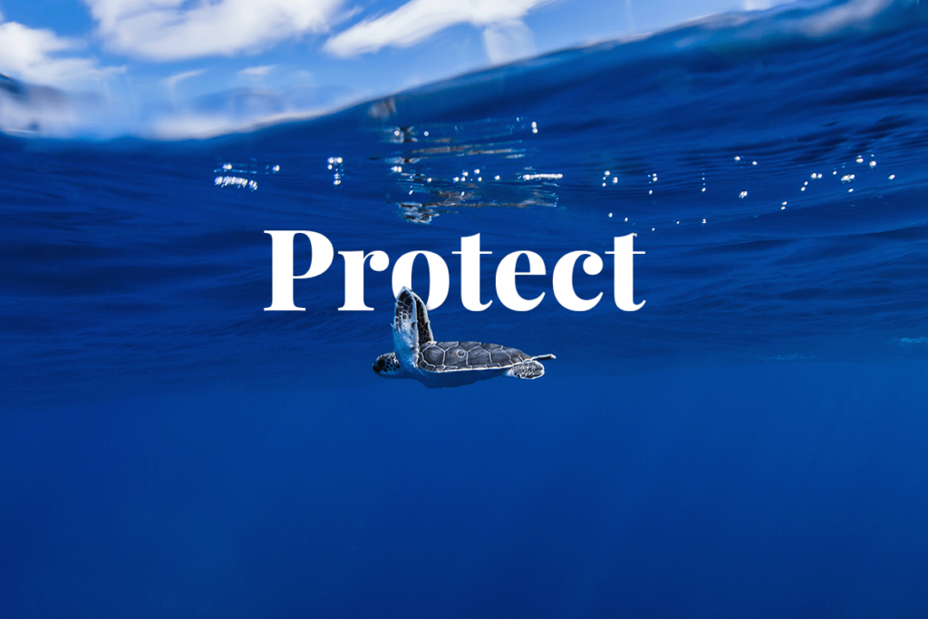 protect Ocean